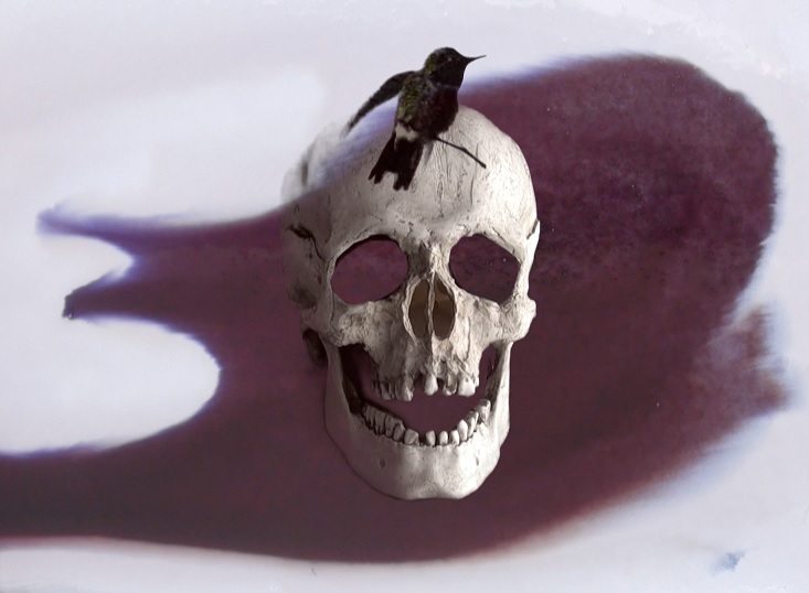 Videoarte: Proyección de obras de Laura y Sira Cabrera. Viernes 26 de septiembre. 21:00 hs